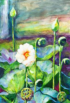 Vijver met bloeiende heilige  lotus. van Ineke de Rijk