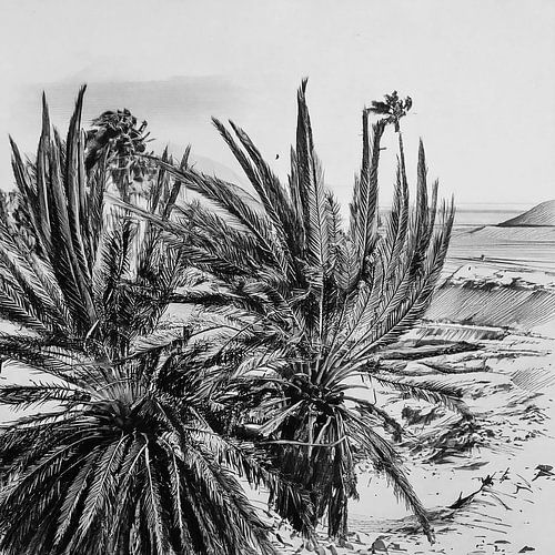 Linien aus Wind und Stille