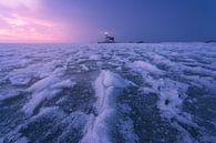 Horse of Marken in the Ice Age by Vincent Fennis thumbnail