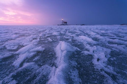 Horse of Marken in the Ice Age by Vincent Fennis