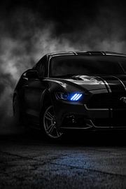 Ford Mitternachtsschatten von John Dan