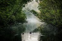 Matinée d'accident dans le domaine du parc La Trame