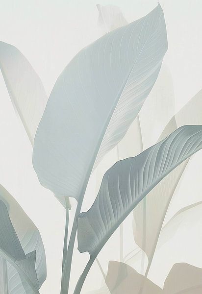 Simplicity and tranquillity: Leaves in Light and Shadow by Color Square