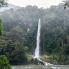 Thunder Creek Falls (Südinsel, Neuseeland) von Niko Kersting