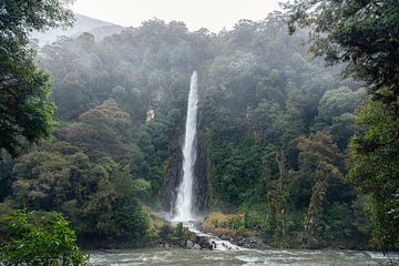 Thunder Creek Falls (Südinsel, Neuseeland)