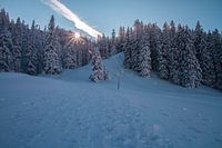 sneeuwlandschap 1