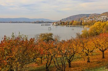Blick auf den Überlinger See mit Ludwigshafen und altem Zollhaus - Bodensee