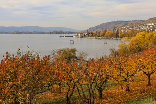 Uitzicht op het meer van Überlingen met Ludwigshafen en het oude douanegebouw - Bodenmeer