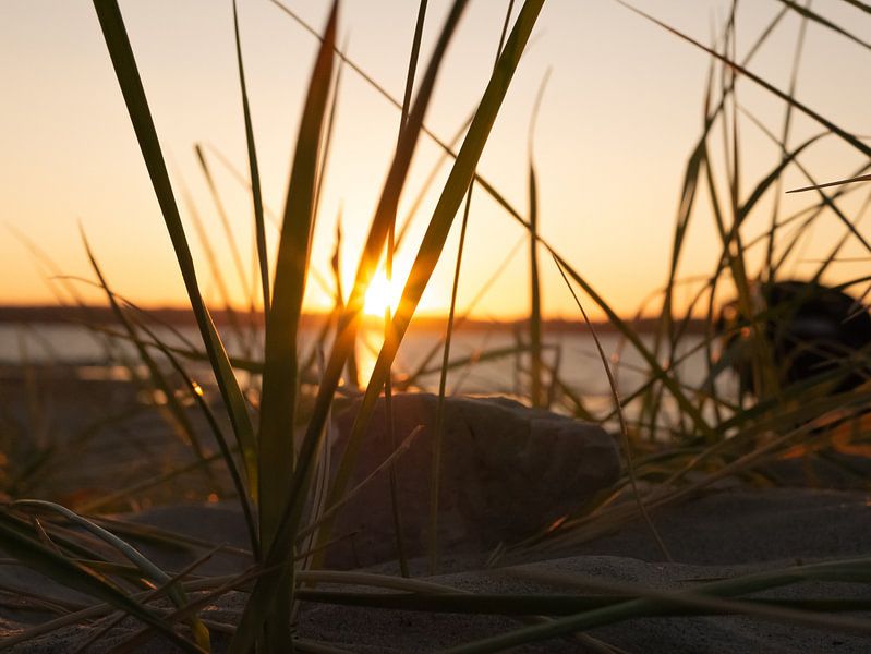 Baltic Sea, Flensburg, Solitüde by Dominik Schulz