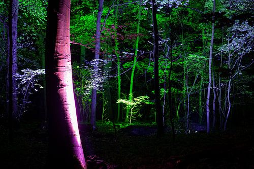 Een stukje magie, verborgen aan de rand van Kralingse Bos