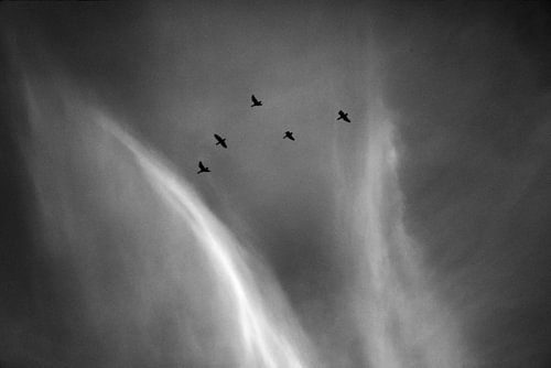 Flug von Remco Monteiro