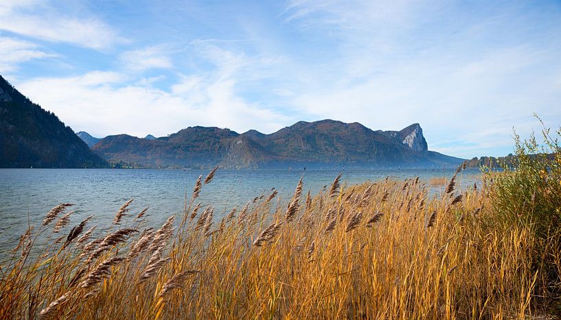 Banque Reed Mondsee Salzkammergut par SusaZoom