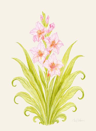 Bloesem van rustige gratie – Roze botanisch motief op antiek linnen