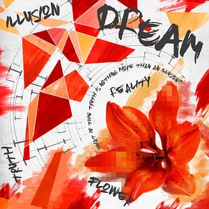 Dream van Sharon Harthoorn