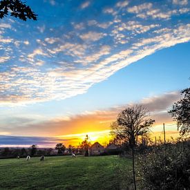 Evening flight by Miriam Meijer, en pleine campagne.....