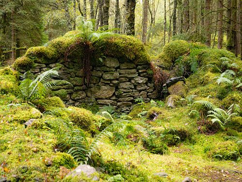 Ruïnes bij Rowchoish Bothy