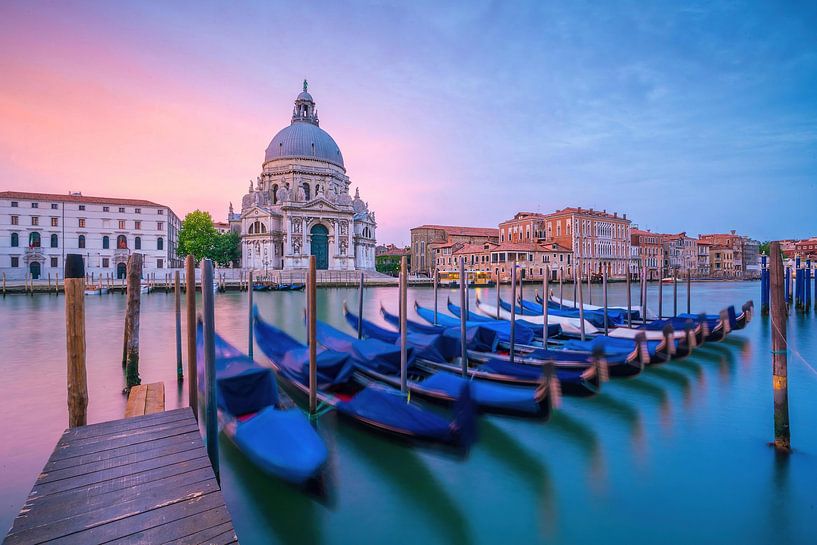 Gondeln und der Salute, Venedig, Italien von Aloke Design