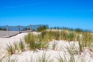 Blick auf eine Düne mit Zaun in Warnemünde