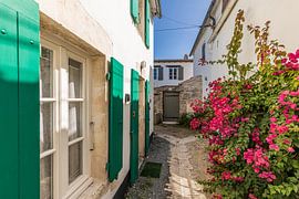 Houses in Ars-en-Ré on the Île de Ré in France by Werner Dieterich