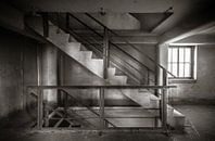 Usine d'escaliers par Olivier Photography Aperçu