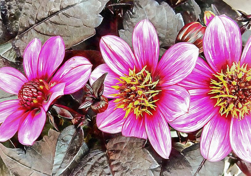 Pink Floral Glory by Dorothy Berry-Lound