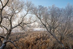 Winterlandschaft
