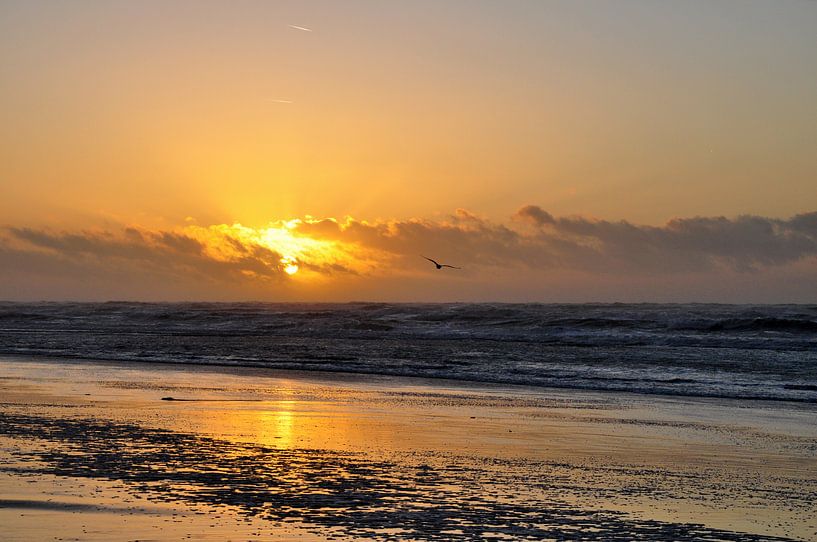 zonsondergang by Bob Bleijerveld