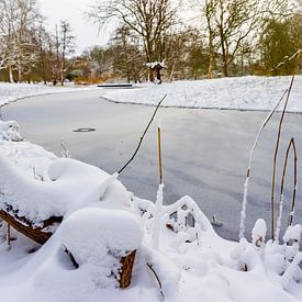 Winter in Arboretum Heempark Delft van Mario Brussé Fotografie