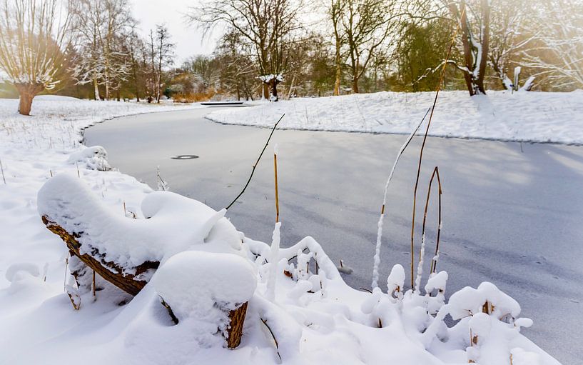 Winter im Arboretum Heempark Delft von Mario Brussé Fotografie