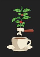 from beans to coffee