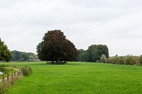 Landschap
