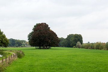 Landschap van sophiimage