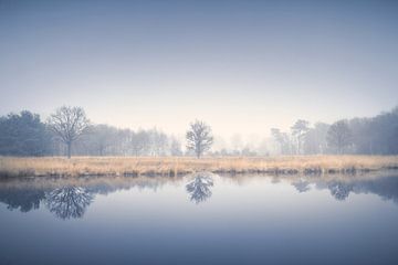 Reflectie in de mist van Lisa Bouwman