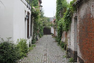 Great Beguinage von Charella Hulsbosch