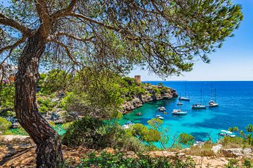 Blick auf Cala Pi mit Torre und Booten in einer wunderschönen Bucht auf Mallorca von Alex Winter