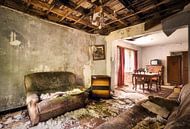 Living in Decay. by Roman Robroek thumbnail