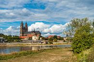 Blick über die Elbe auf den Magdeburger Dom von Rico Ködder Miniaturansicht