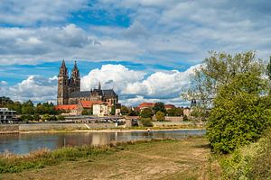 View over the river Elbe to Magdeburg, Germany sur Rico Ködder