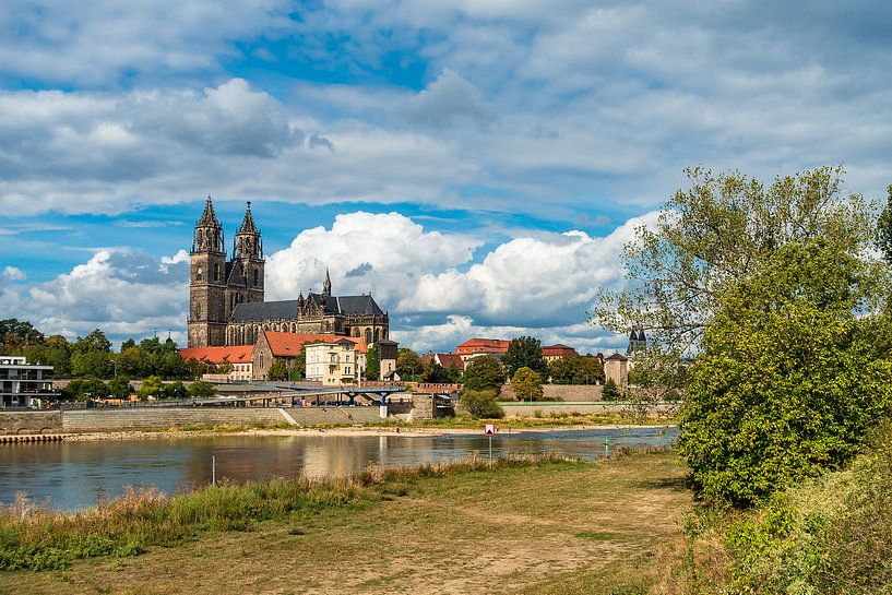 Blick über die Elbe auf den Magdeburger Dom von Rico Ködder