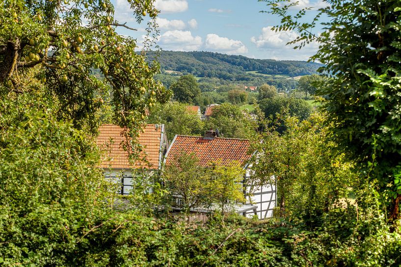 Maison à colombages dans le sud du Limbourg par John Kreukniet