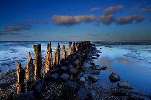 Bleu des Wadden