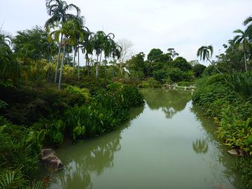 Singapore Pond sur Daniël Majoor