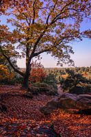 Indian summer