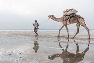 Kamel und Mann wandern durch die Wüste | Äthiopien von Photolovers reisfotografie Miniaturansicht