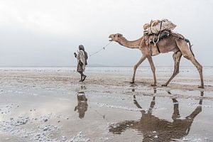 Kameel en man lopen door de woestijn | Ethiopië van Photolovers reisfotografie