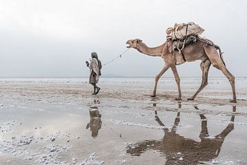 Un chameau et un homme marchent dans le désert en Éthiopie. sur Photolovers reisfotografie