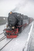 De Brocken Railway bij Brocken Station
