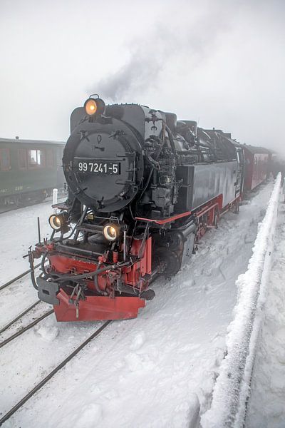 The Brocken Railway at Brocken Station by t.ART