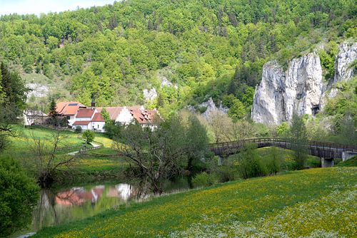 Thiergarten on the Danube