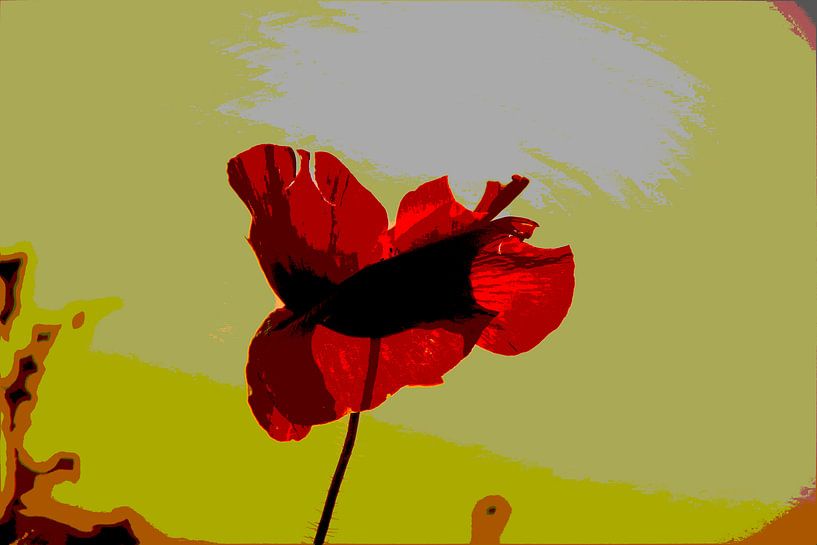 Mohn art von Rob De Jong